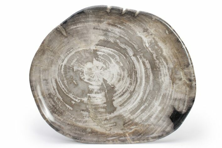 Tropical Hardwood Petrified Wood Dish - Indonesia #210590